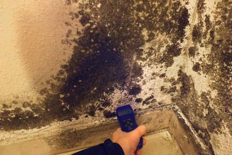 Bauschadenbegutachtung 020