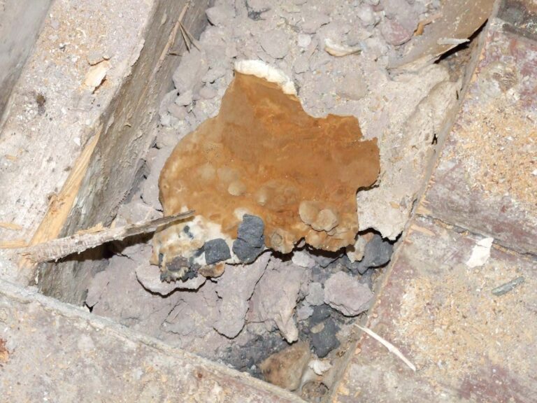 Bauschadenbegutachtung 040